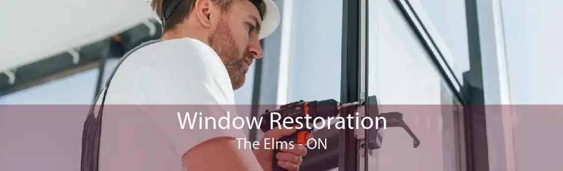 Window Restoration The Elms - ON