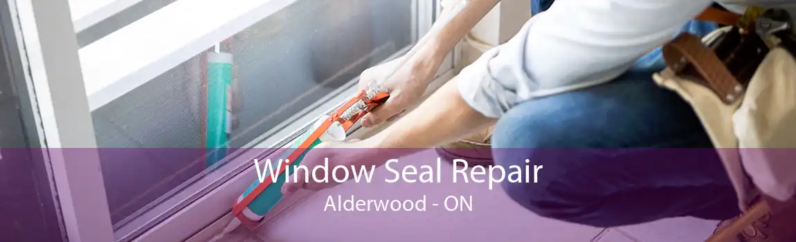 Window Seal Repair Alderwood - ON