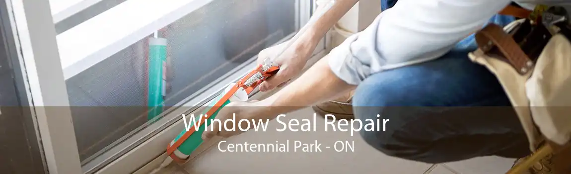 Window Seal Repair Centennial Park - ON