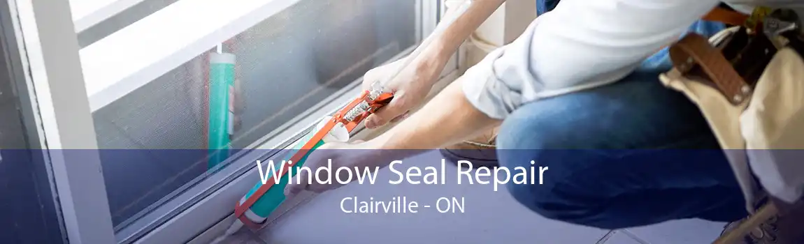 Window Seal Repair Clairville - ON