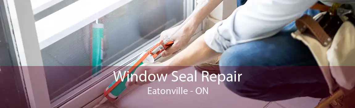Window Seal Repair Eatonville - ON