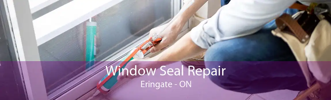 Window Seal Repair Eringate - ON