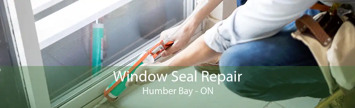 Window Seal Repair Humber Bay - ON