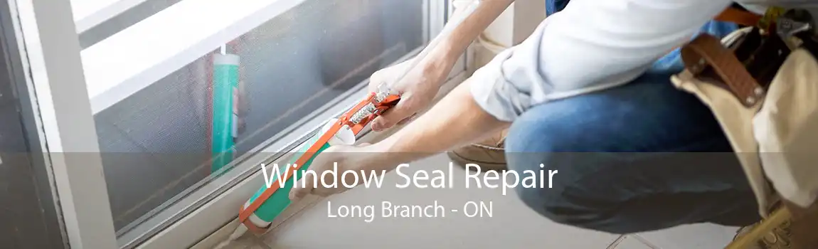 Window Seal Repair Long Branch - ON