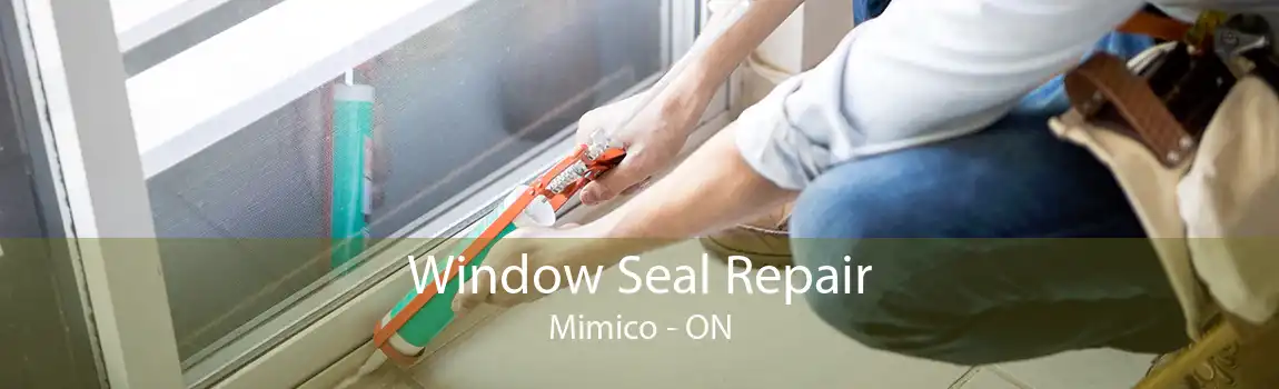 Window Seal Repair Mimico - ON