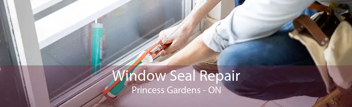Window Seal Repair Princess Gardens - ON
