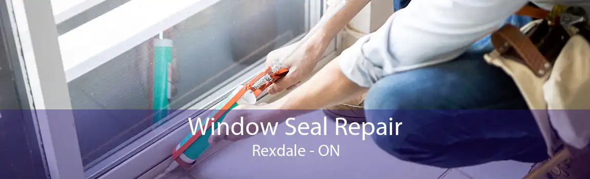 Window Seal Repair Rexdale - ON