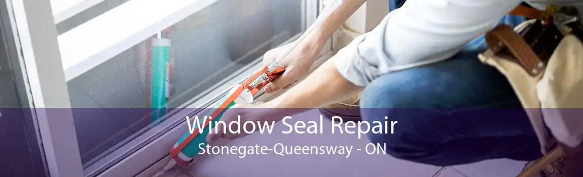 Window Seal Repair Stonegate-Queensway - ON