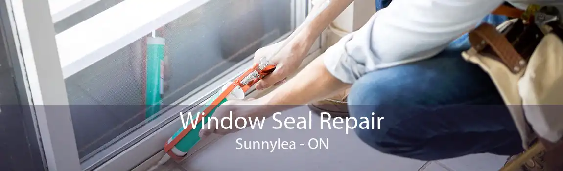 Window Seal Repair Sunnylea - ON