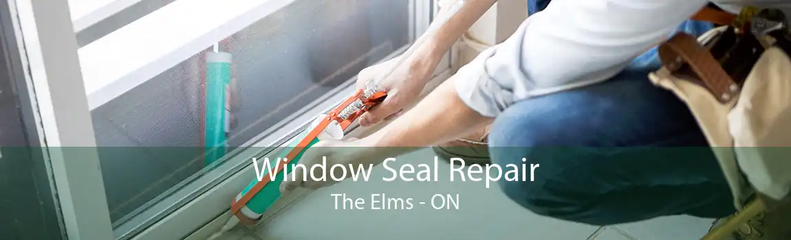 Window Seal Repair The Elms - ON