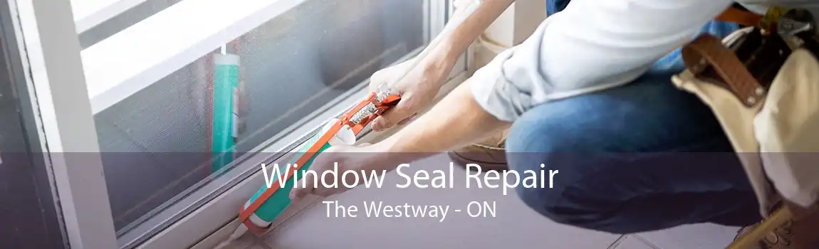 Window Seal Repair The Westway - ON