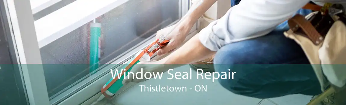 Window Seal Repair Thistletown - ON