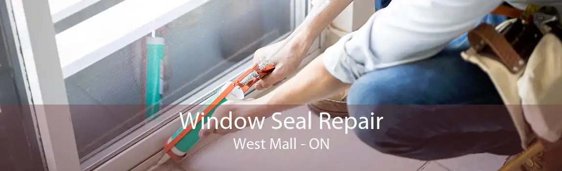 Window Seal Repair West Mall - ON
